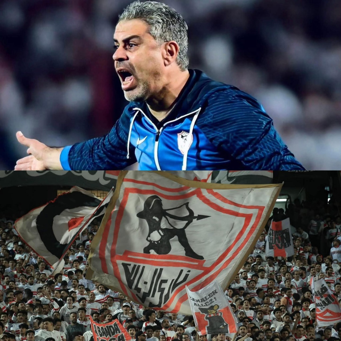 معتمد جمال مدرب الزمالك 